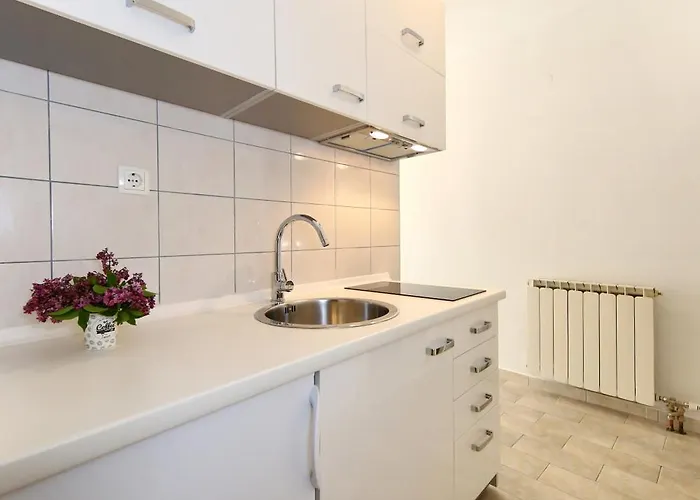 Maruna Self Check-in *